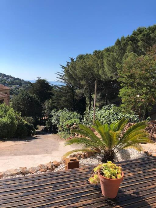 Maison St Clair Vue Mer Sète Exteriör bild